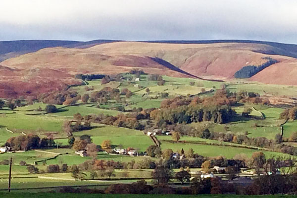 area surrounding haweswater cottage